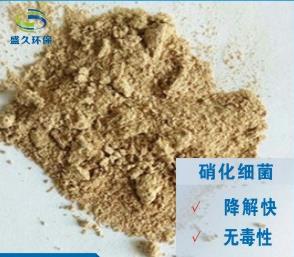 污水處理硝化細(xì)菌